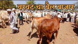 वरवट चा सुप्रसिद्ध बैल बाजार |🐐 बैल बाजार | #बैलबाजार #शेतकरी