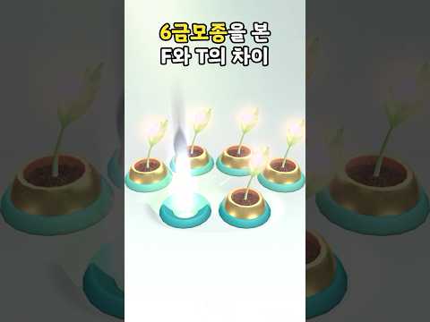 피크민 6금모종 F와 T의 반응차이ㅋㅋㅋ