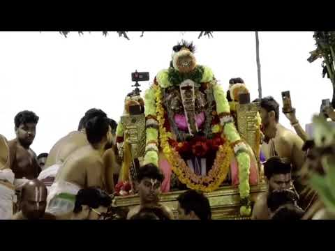 Thiruvallikeni Parthasarathy Perumal Kovil -Thelliya Singa Perumal Theppothsavam_2023-02-23_38m 44s