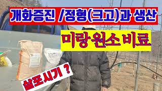 정형과 생산과 저온피해 감소등   미량원소 비료 살포 및 시기