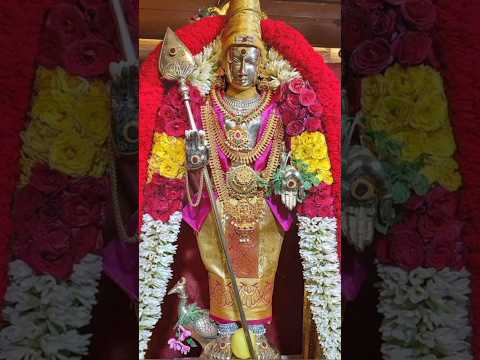 ##MURUGAN#APPAN#TRENDING MURUGAN#GOD#AROGARA#DEVOTIONALSONGS #BAKTHISONGS #saamisongs#TRENDING