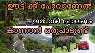 Ooty 32 Hairpin | Masinagudi ooty Road