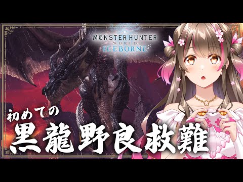 超魔境と噂のミラボレアス野良救難に初めて挑戦してみるぞ【モンスターハンターアイスボーン steam】