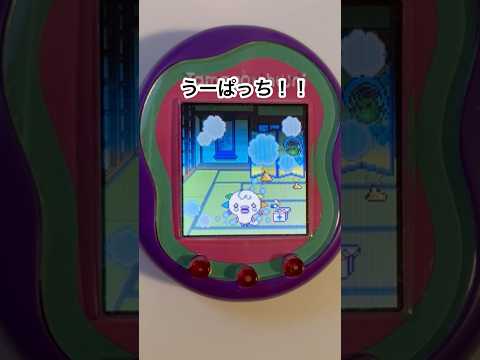 うーぱっち！！😭 #tamagotchi #tamagotchiuni #たまごっち #たまごっちユニ #shorts