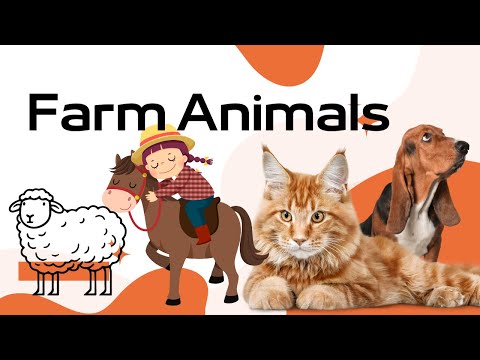 Domestic Animals