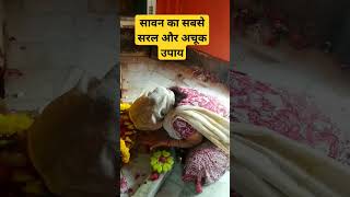 इतना आसान उपाय नहीं करते हो#shivpuran_ke_upay #pradeepmishraji #shortsfeed #viralvideo #trending