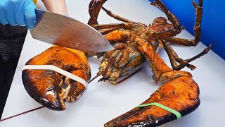 Giant  Lobster！Delicious Grilled Butter Lobster, Lobster Sashimi / 超奢華！巨大龍蝦, 烤奶油龍蝦, 龍蝦刺身/鷺梁津水產市場