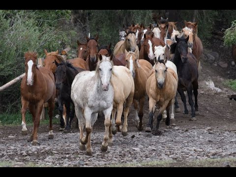 All aboard for a full episode shot of Today's Wild West - shot in Colorado