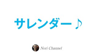 サレンダーということ🐻♪