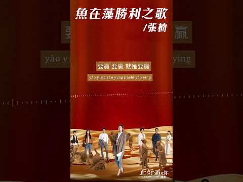 #張楠 Zhang Nan《#魚在藻勝利之歌》【#正好遇見你 Hi Producer OST電視劇插曲】Official Lyric Video #shorts