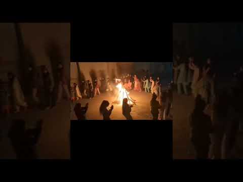 #lohri vibes at college #lohricelebration #shortsvideo #ytshorts