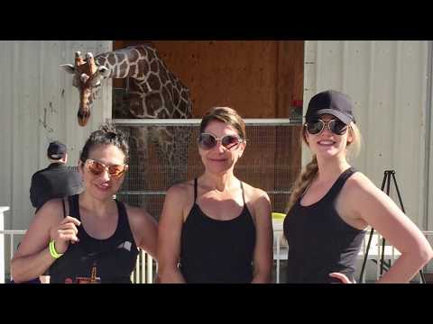 Lions Breath Yoga at Lion Habitat Ranch | Desert Hills Plastic Surgery