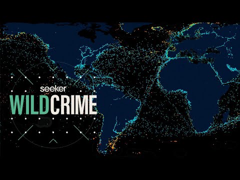 How AI is Tracking Illegal Fishing From Space