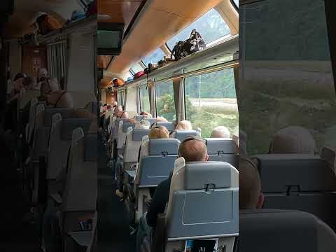 Retirement Travelers: Northern Explorer Train | New Zealand Rail #shorts