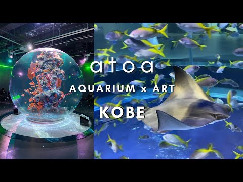 atoa Aquarium x Art in KOBE