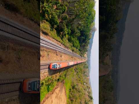 Vande Bharat gliding past Wadakanchery’s dreamy landscapes. 🌿💨 #trains #vandebharatexpress #reels