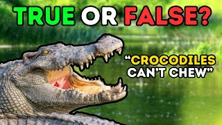 25 True or False Animal Quiz Questions | Fun Animal Trivia Challenge