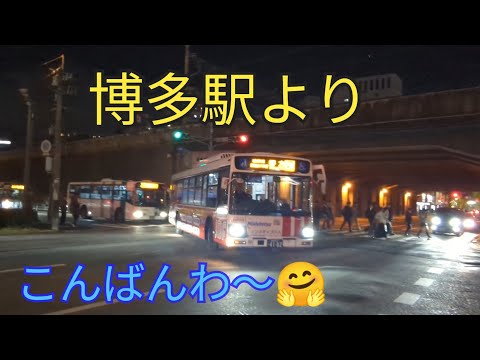 【バスが行き交う夜の博多駅】心癒される夜景スポット🤗7−3