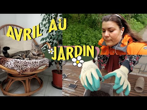 vlog : cosy time, balade en foret, banana bread,  et  jardinage 🌼🌻