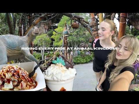 We Rode Every Ride at Animal Kingdom | Saying Goodbye to Dinosaur | Kali River Rapids