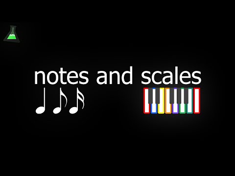 Notes and Scales | B&W