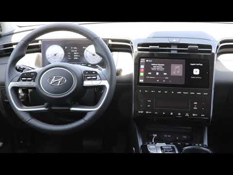 Hyundai Tucson  Hybrid Bose Audio Test ASMR