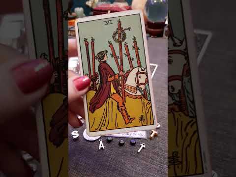 Current Feelings of the person on your mind? | Timeless Tarot Card Reading