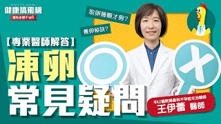 取卵要幾顆才夠? 不孕科專業醫師解答網友常見凍卵疑問 feat. 王伊蕾醫師