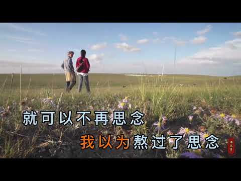 《不是孤雁》video clip 演唱 ：王思雨    原唱 ：齐旦布     磁性浑厚的歌声  让人陶醉