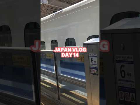 Japan Vlog: Day 13