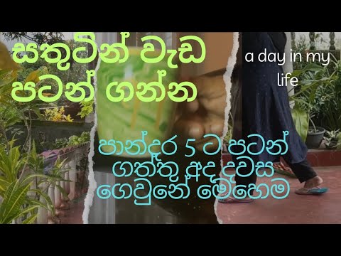 උදේම කලබල නැතුව වැඩ පටන් ගත්ත නම් දවසම සතුටින් ගෙවන්න පුලුවන්. මං කරේ මෙහෙමයි#dayinmylife#youtube 🥰