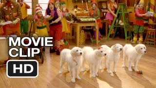 Santa Paws 2: The Santa Pups DVD CLIP - Santa Pups Introduction (2012) HD