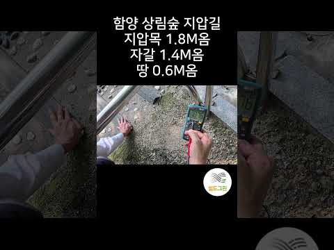 어싱 성능 비교! 지압 자갈,지압목,맨땅 맨발걷기 코스-함양 상림숲