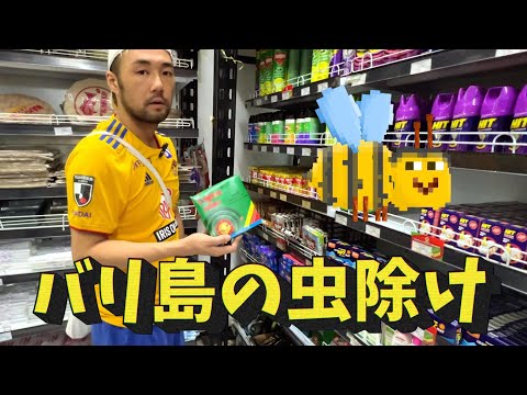 バリ島の虫除けグッズを試してみた。No.80