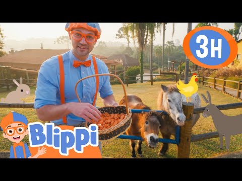 Blippi’s Day as an Animal Caretaker in Brazil! | Blippi | Kids TV Shows