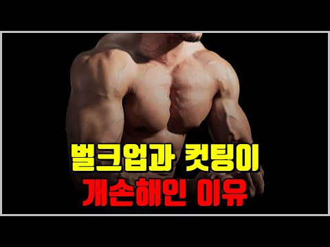 일반인에게 벌크업과 컷팅이 개손해인 이유