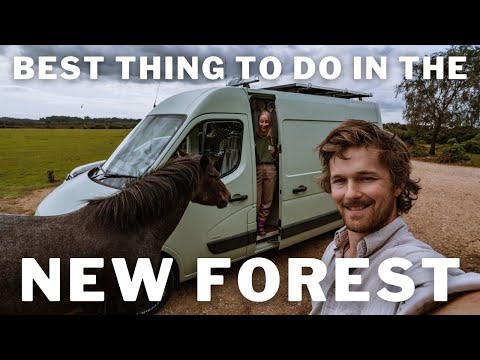 New Forest in 1 Day | Visiting The New Forest’s Number One Attraction | Van Life