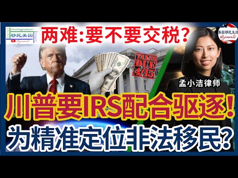 两难选择：非法移民要不要交税？川普要IRS配合遣返非法移民！国土部要求国税局提供近70万人的报税资料！为了精准定位非法移民在哪里？