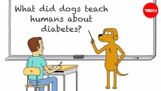 ¿Qué enseñaron los perros sobre la diabetes a los seres humanos? - Duncan C. Ferguson