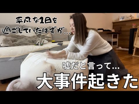 朝からハプニング続き🌀そして1日の最後に大事件発生🤦🏻‍♀️平凡な1日を撮影していたはずがとんでもない日になった🤦🏻‍♀️