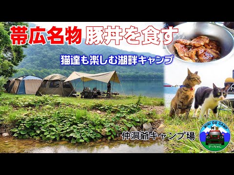 北海道キャンプ！キャンプ飯は帯広の老舗豚丼屋のタレで豚丼を食す！キャンプ猫も楽しむ洞爺湖畔キャンプ！仲洞爺キャンプ場