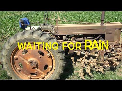 Waiting for rain