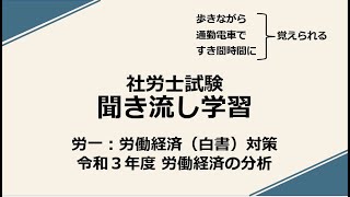 社労士聞き流し学習（労一：白書対策）「労働経済の分析」