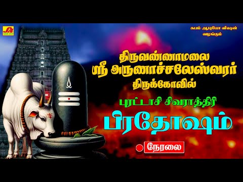 🔴  LIVE திருவண்ணாமலை பெரியநந்தி புரட்டாசி மாத  சிவராத்திரி   பிரதோஷம் அபிஷேகம்  #liveproadhasham