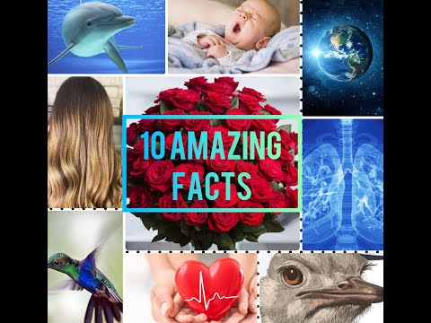 Do you know?/10 amazing facts # 3