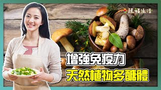 增強免疫力！天然植物多醣體｜蔬福生活