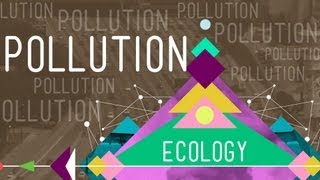 Pollution: Crash Course Ecology #11