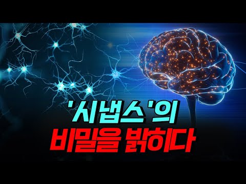 [핫클립] 21세기 뇌과학, '시냅스'의 비밀을 밝히다 / YTN 사이언스