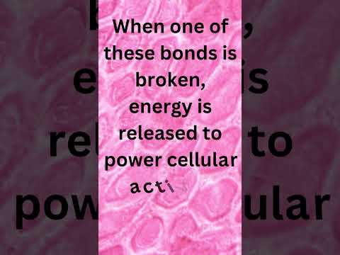 What is Adenosine Triphosphate(ATP)? #trending #shorts #viral #atp #adenosine