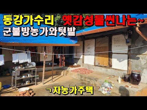 동강가수리 옛향수부르는 군불방농가주택과밭/100년도더된집/마을이내려다보이고/정선부동산매매/정선농가주택매매